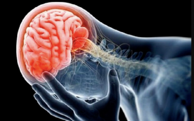 Efectos de las sustancias psicoactivas en el cerebro y su funcionamiento